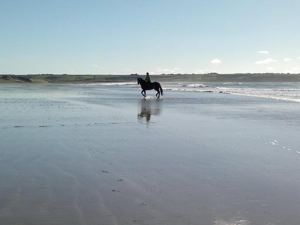 Glenart House Bed & Breakfast Tramore Bagian luar foto